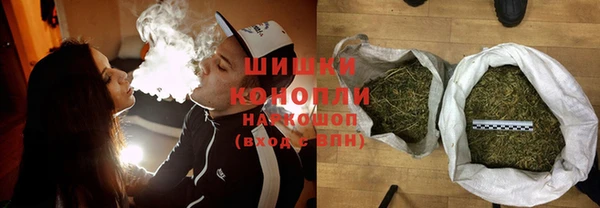 индика Наволоки