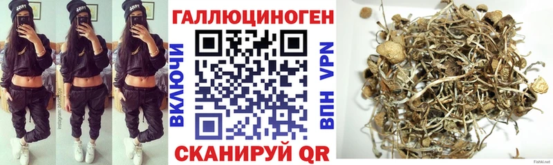 Купить закладки  Коломна  Галлюциногенные грибы Psilocybe 